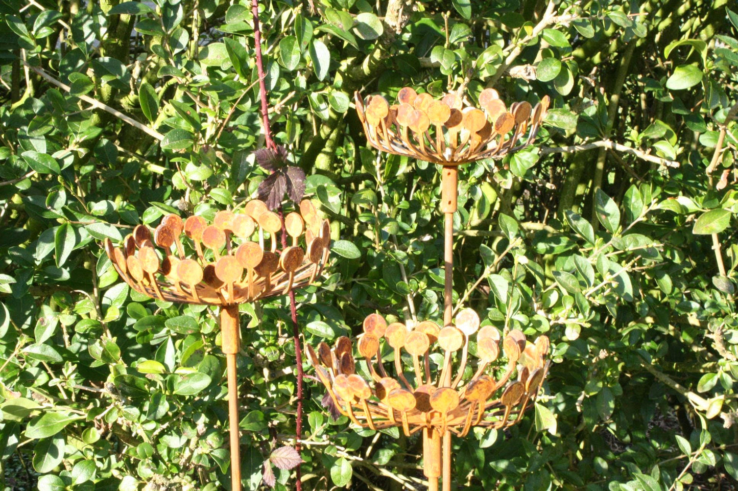 Rusted Metal Garden Cow Parsley