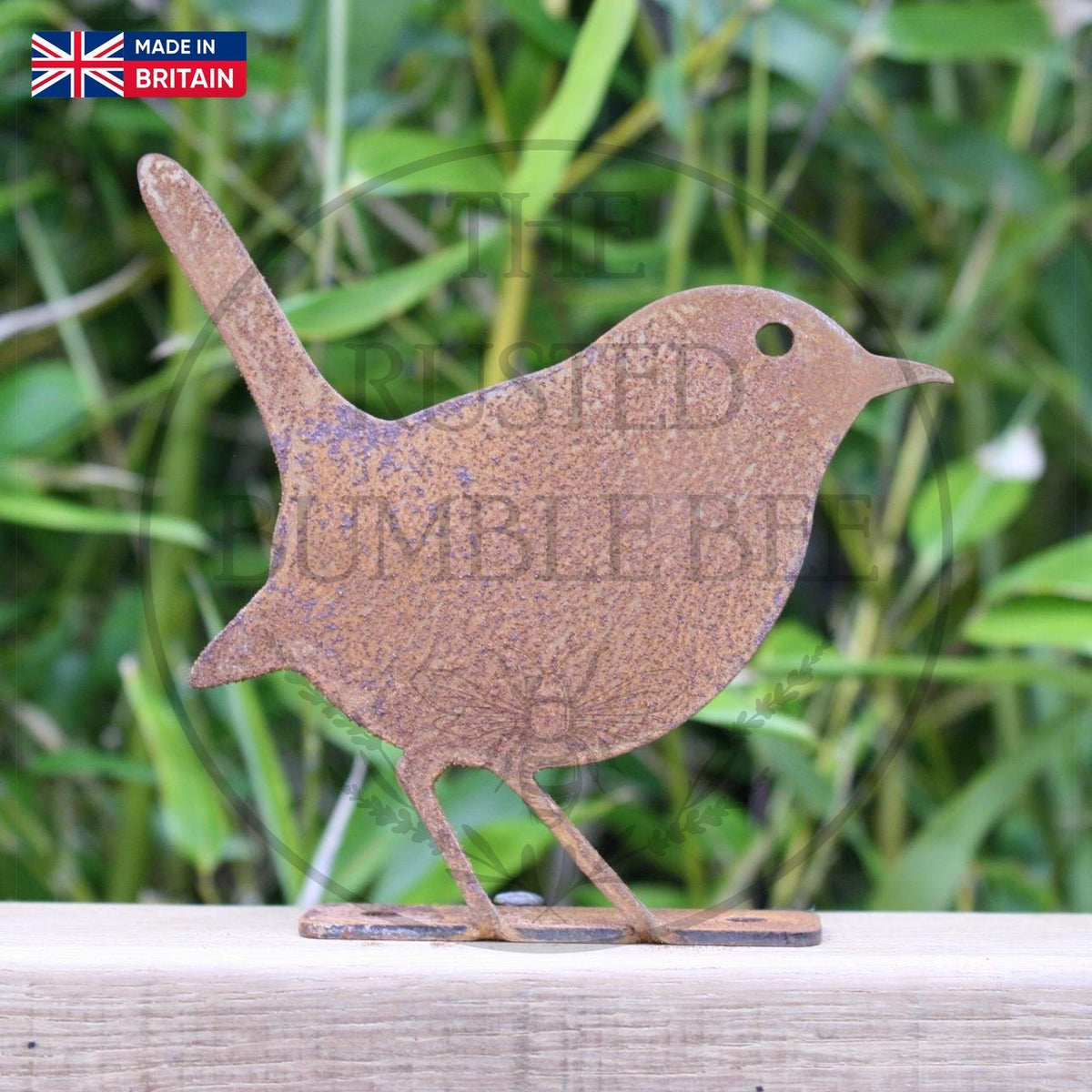 Rusty robin