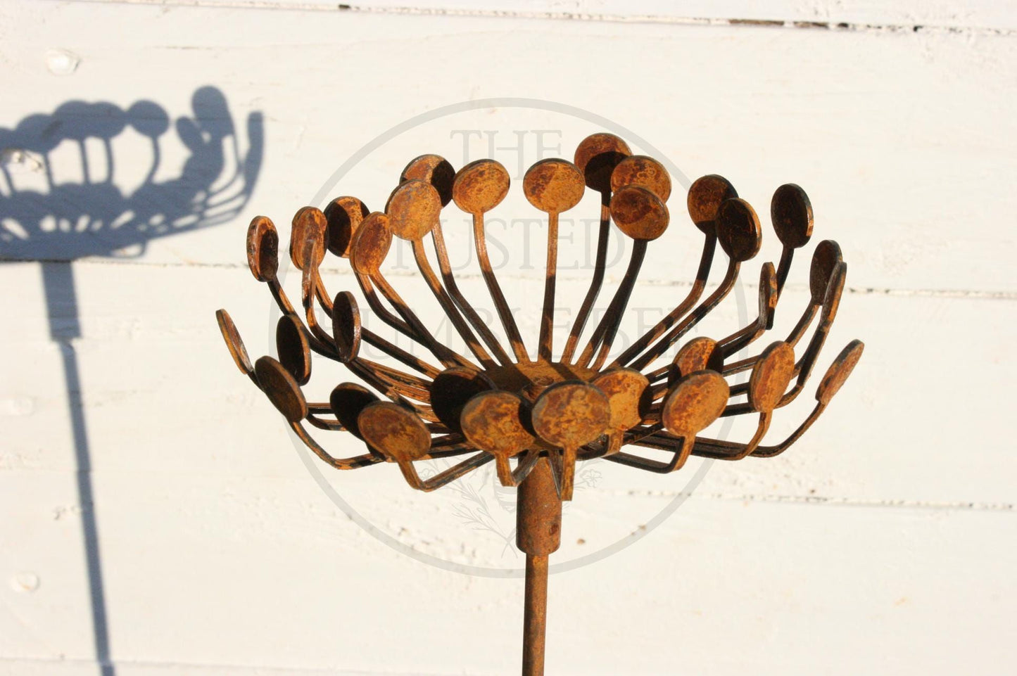 Rusted Metal Garden Cow Parsley