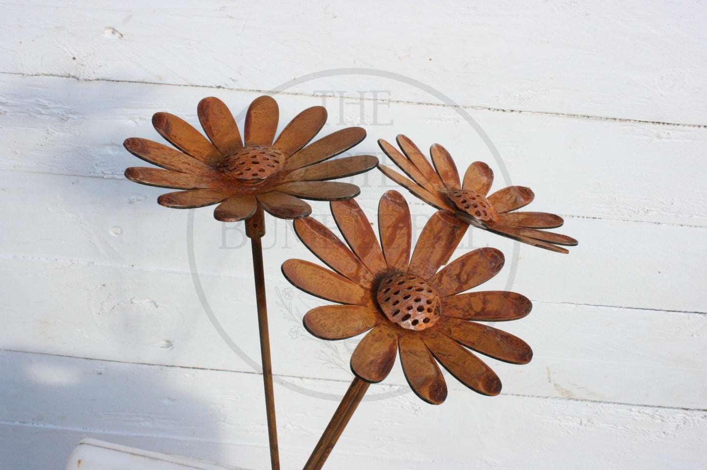 Rusted Daisy Flowers