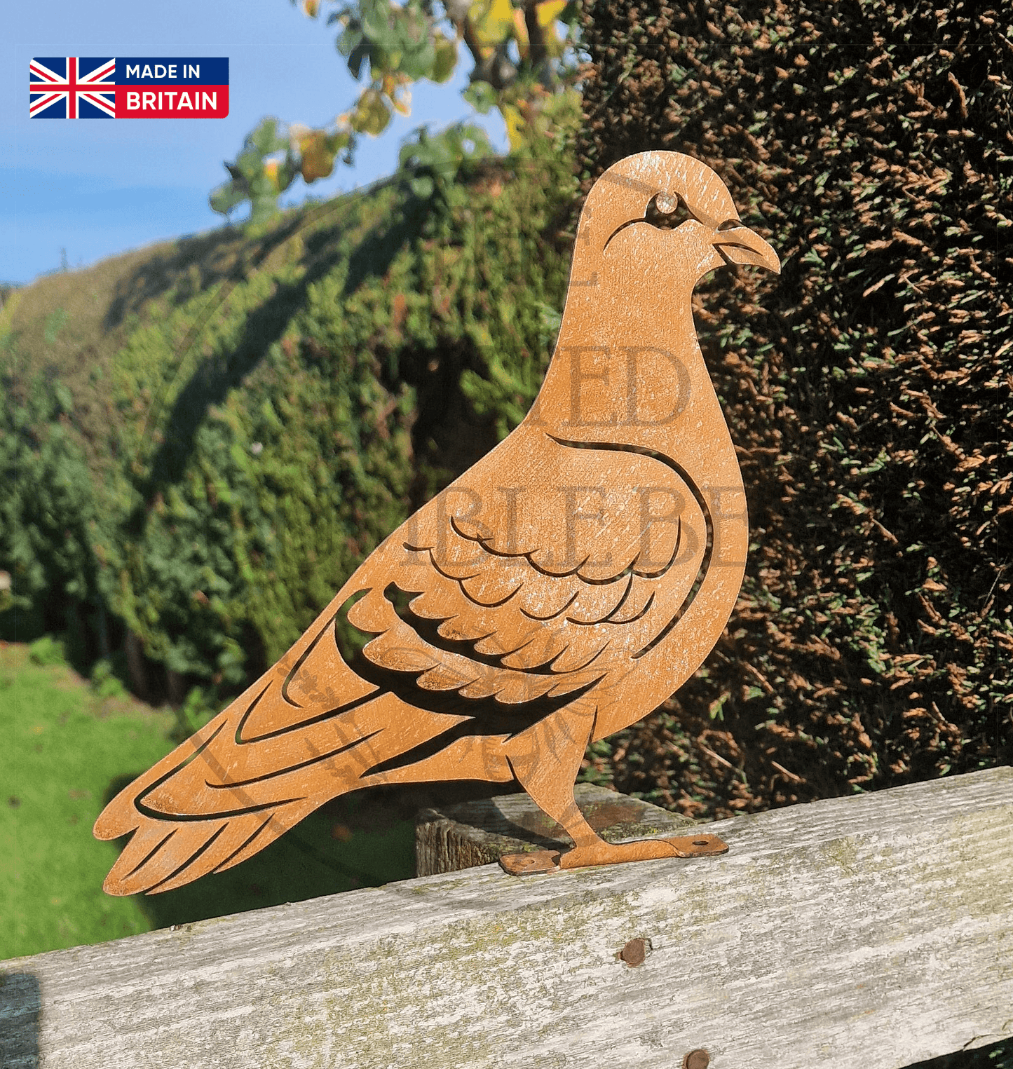 Metal Pigeon