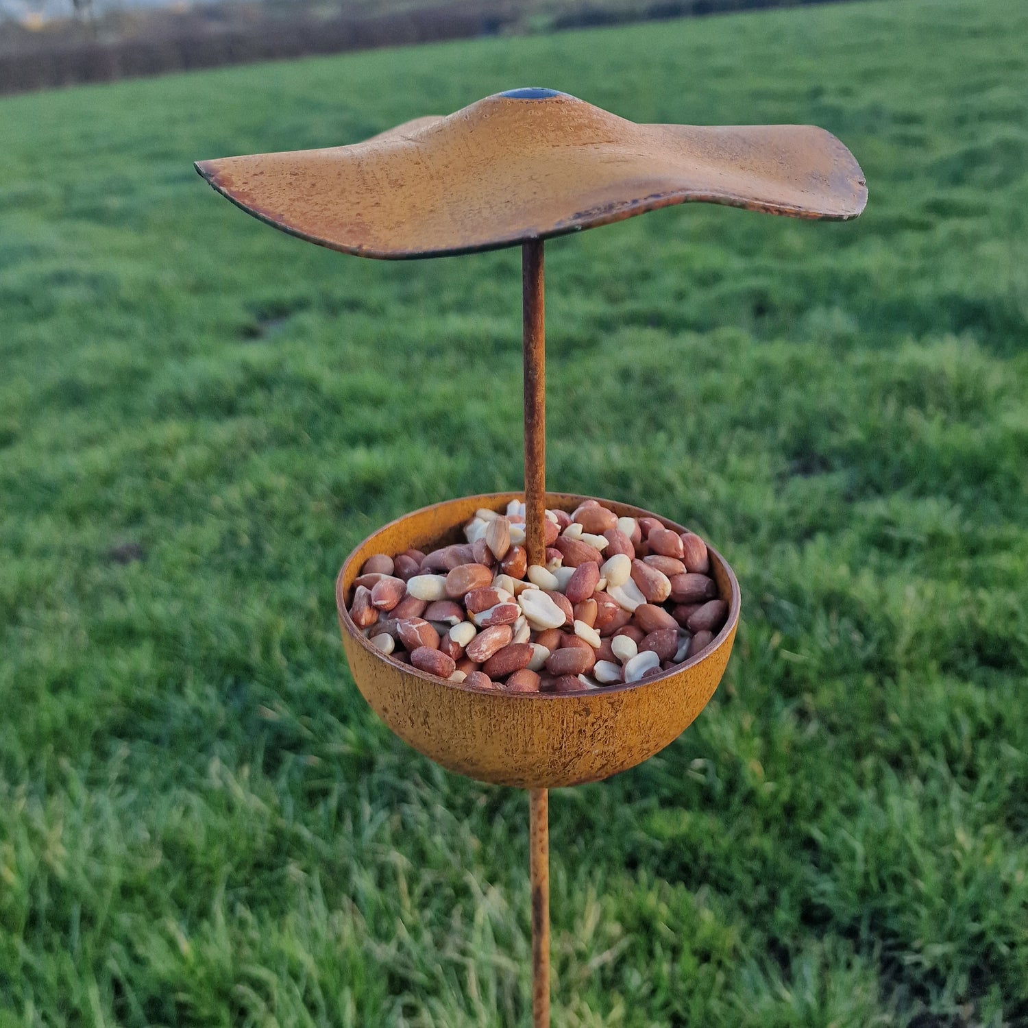 Bird Feeders / Baths.