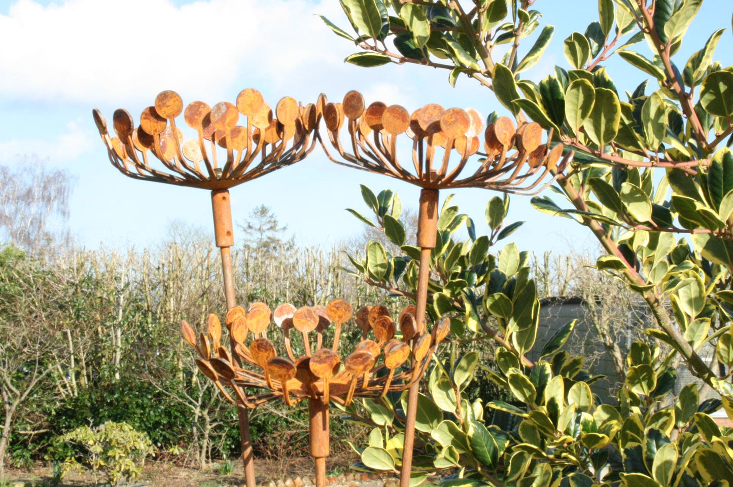 Rusted Metal Garden Cow Parsley