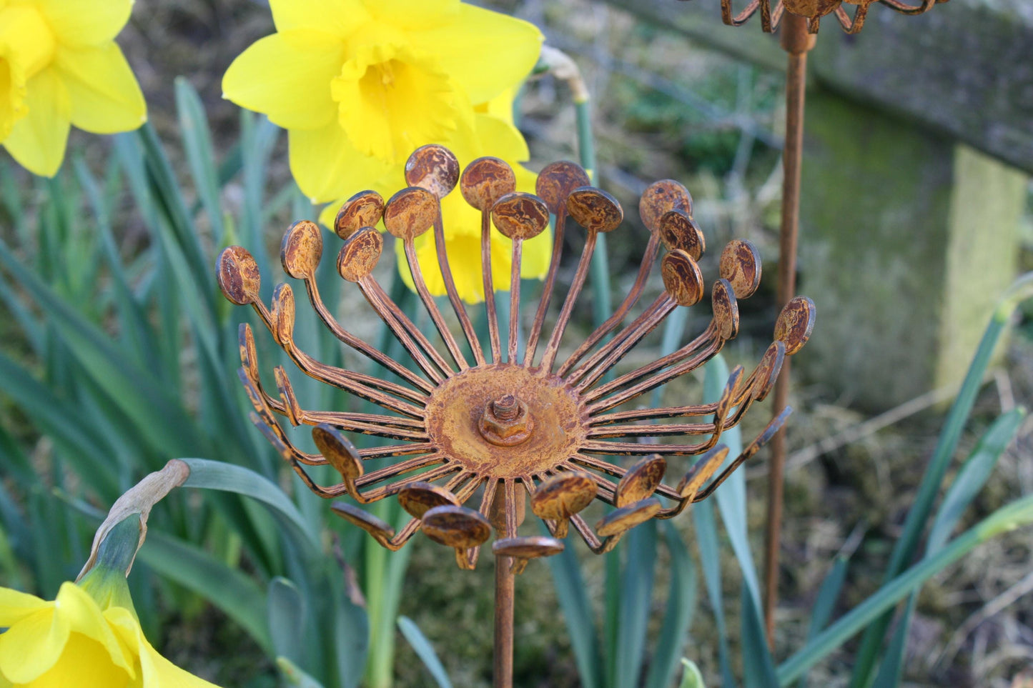 Rusted Metal Garden Cow Parsley