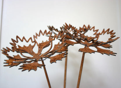 Cornflower Stems x3
