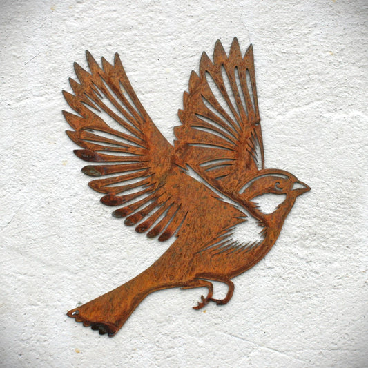 Metal Sparrow