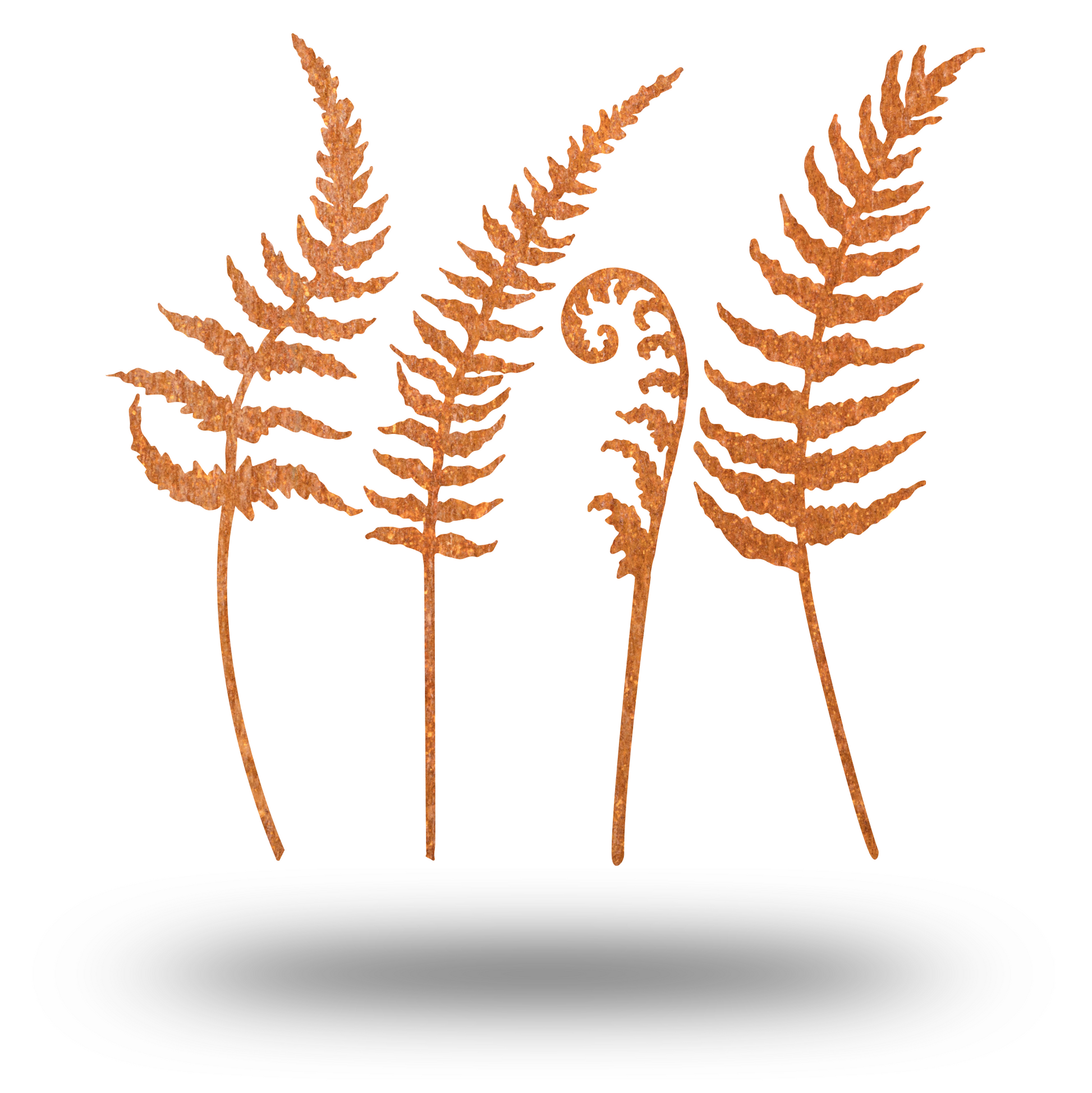 a group of three brown plants sitting next to each other