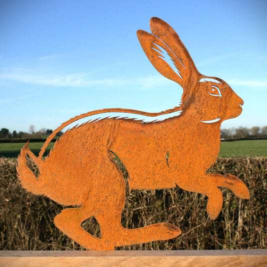 Metal Hare