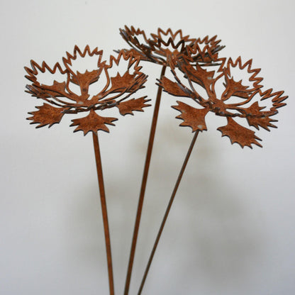 Cornflower Stems x3