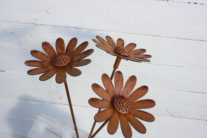 Rusted Daisy Flowers