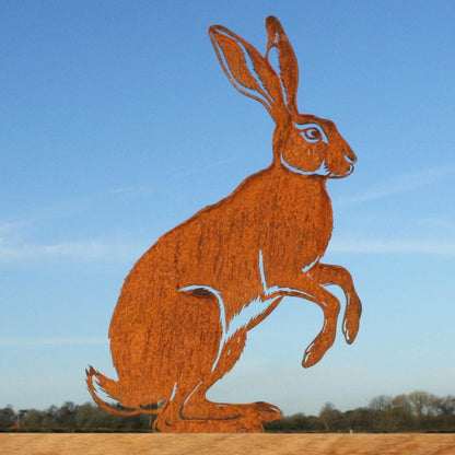 Metal Hare