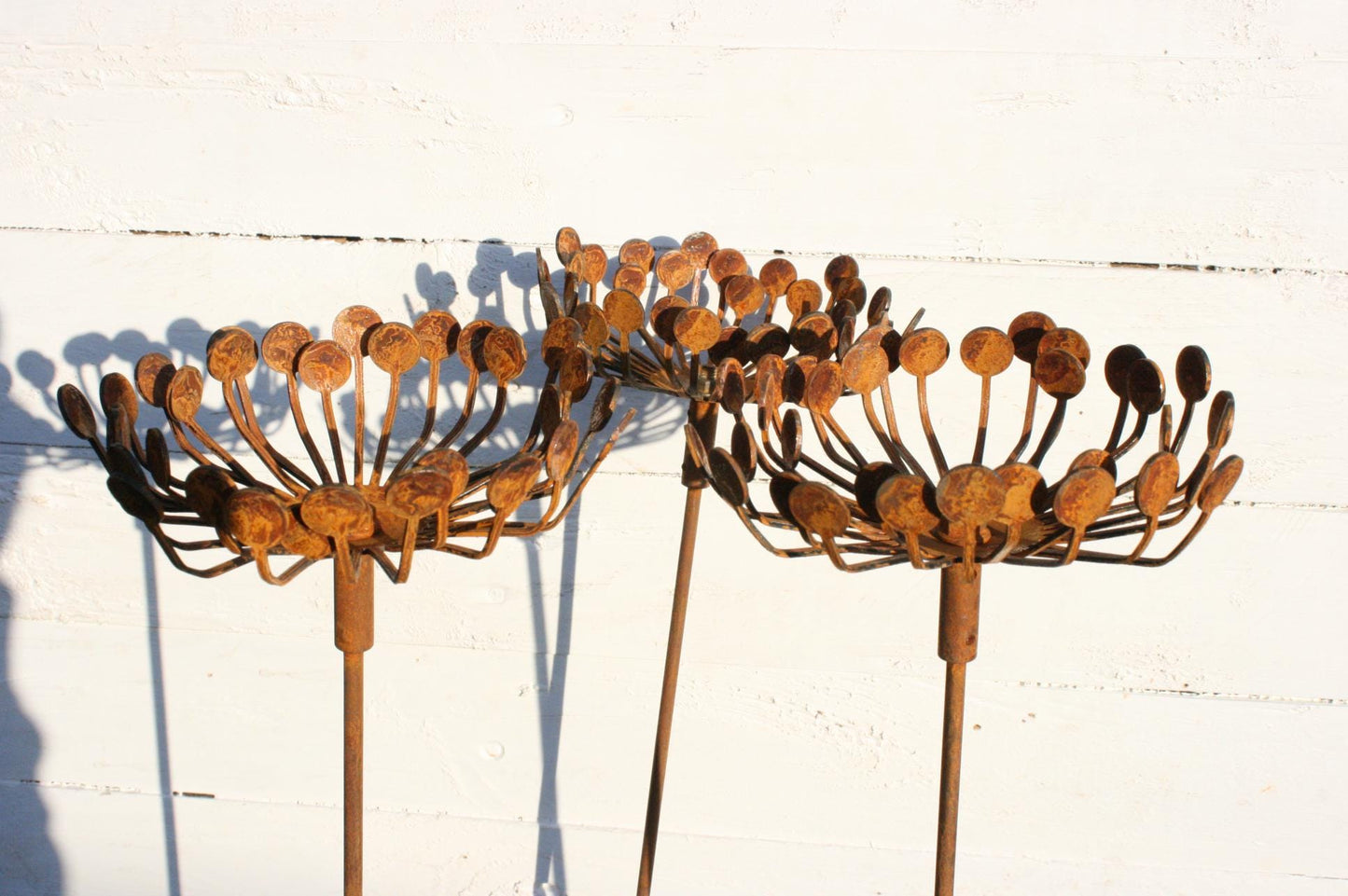 Rusted Metal Garden Cow Parsley