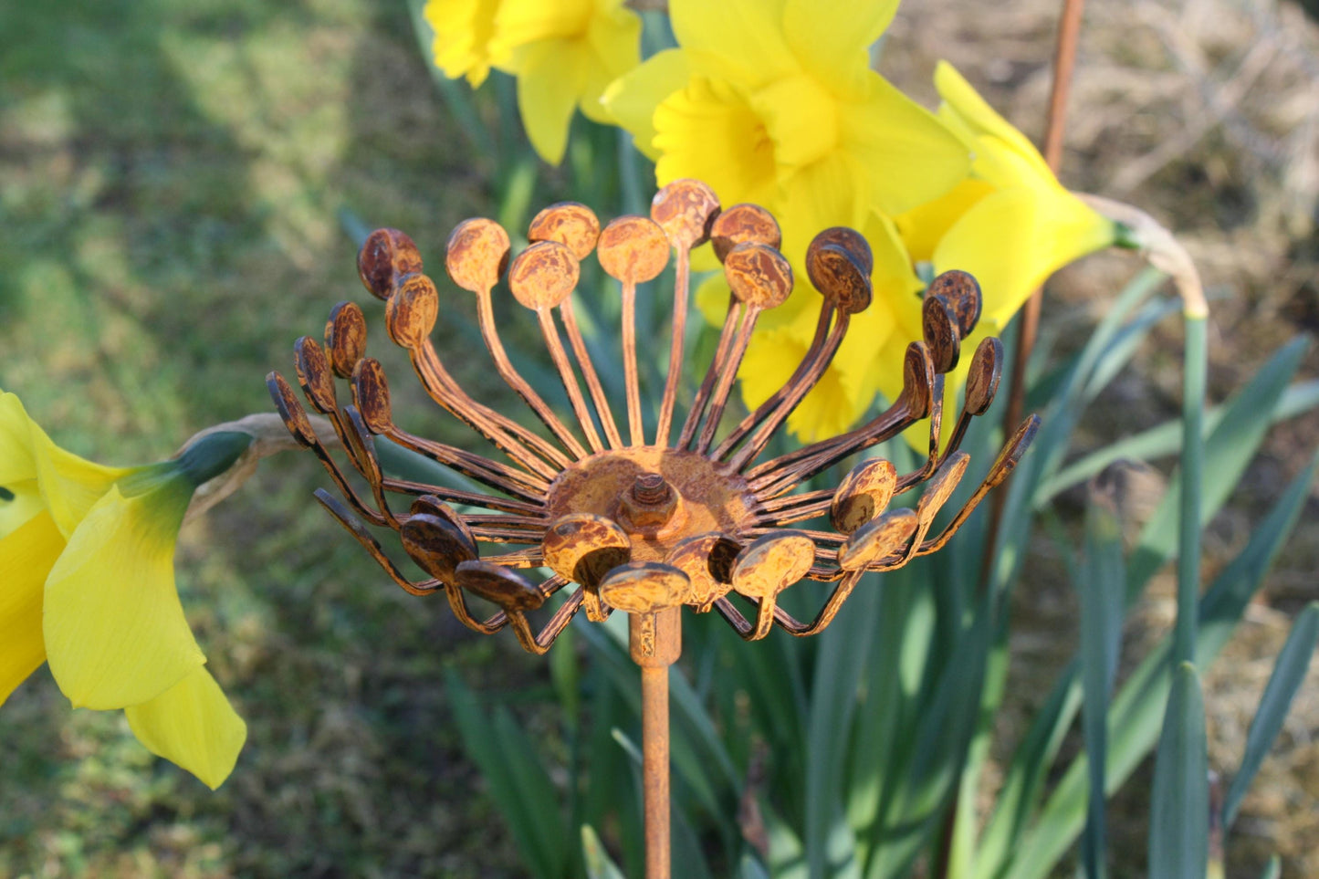 Rusted Metal Garden Cow Parsley