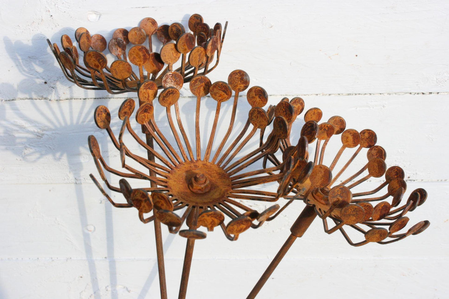 Rusted Metal Garden Cow Parsley