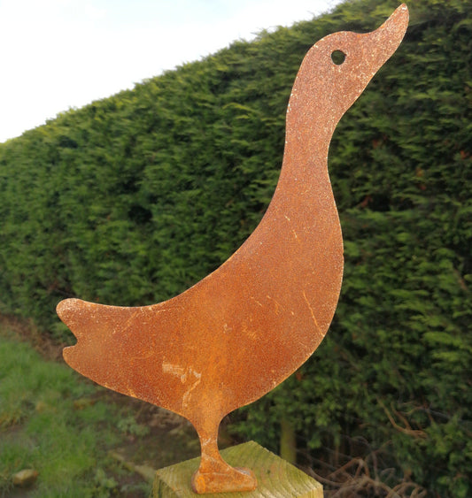 Rusted Metal Duck