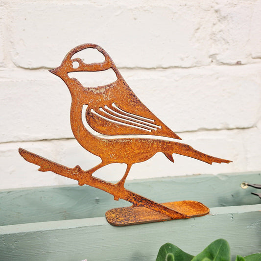 Rusted Metal Blue Tit