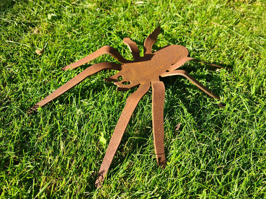 Rusted Metal Spider