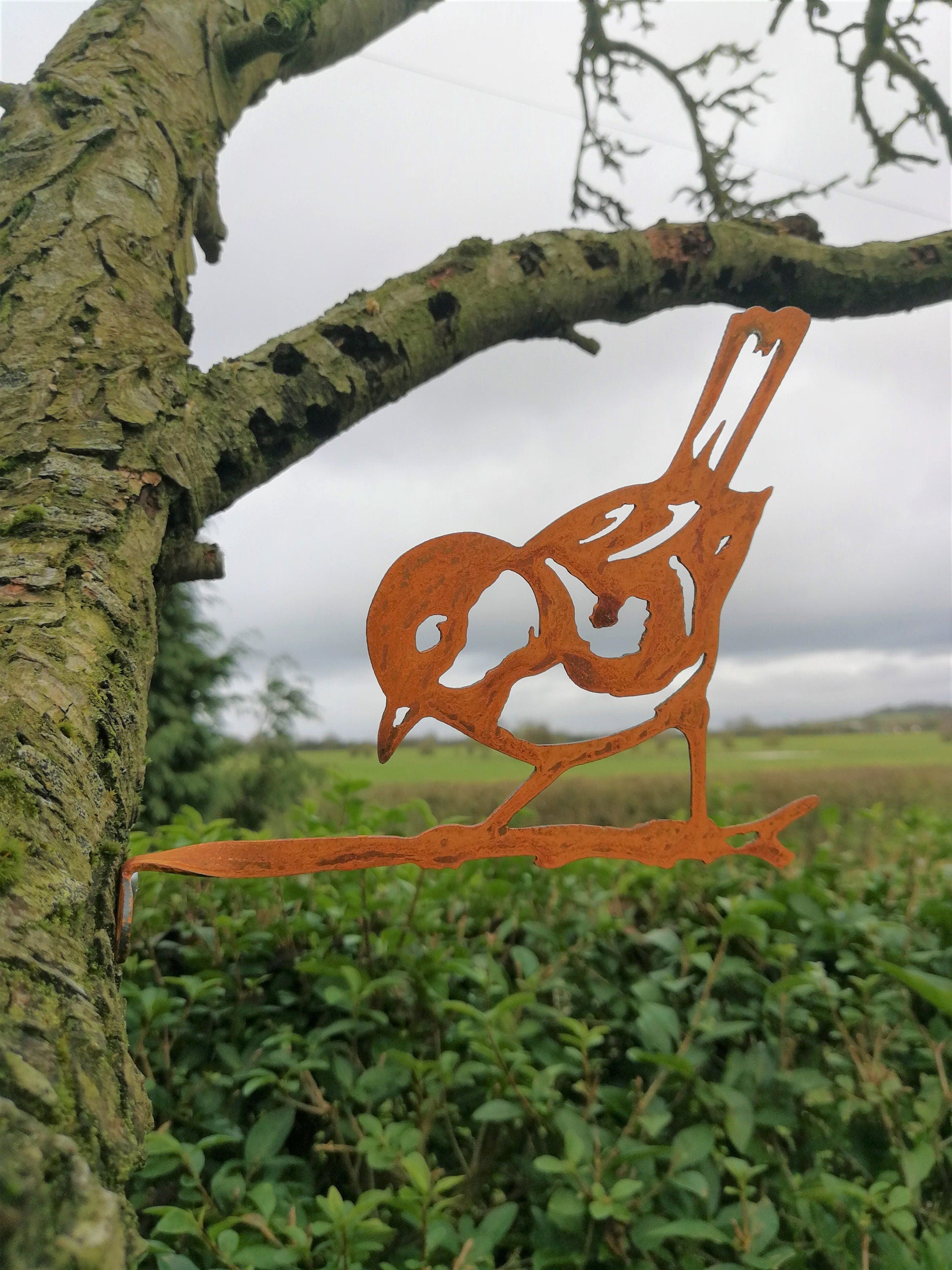 Rusted Metal Blue Tit On Branch