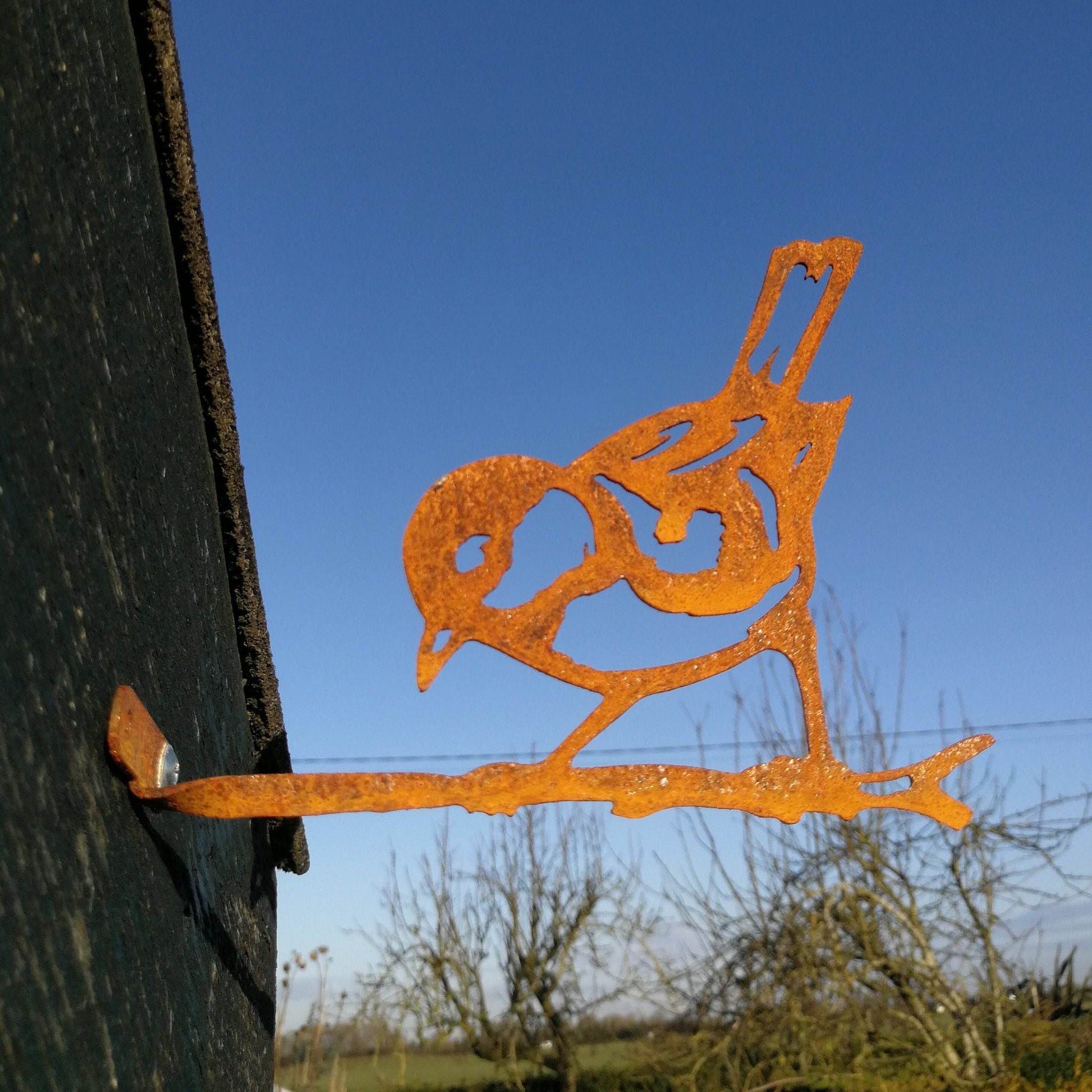 Rusted Metal Blue Tit On Branch
