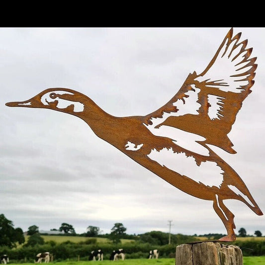 Rusted Metal Duck