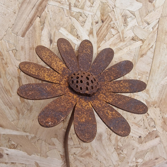 Daisy Stems