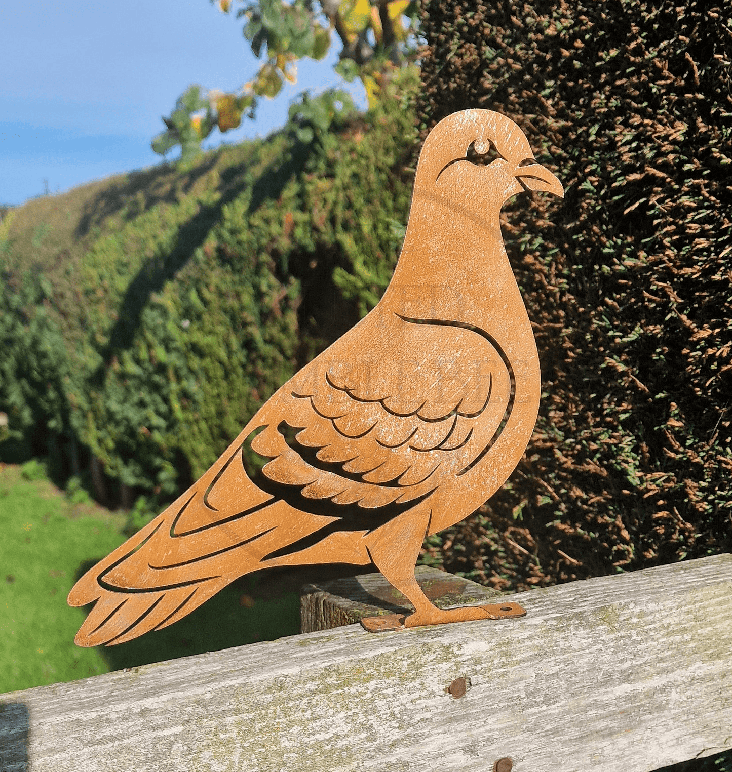 Metal Pigeon
