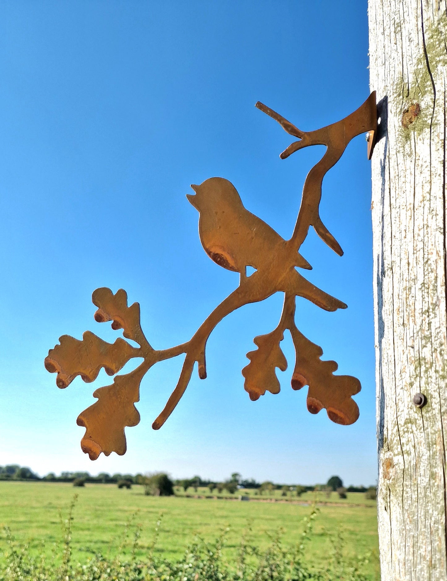 Rusted Metal Robin Singing On a Branch